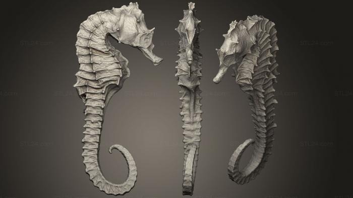Animal figurines (sea horse 2, STKJ_1791) 3D models for cnc